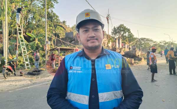 DLH Kota Sorong-PLN Kolaborasi Tebang Pohon di Puncak Arfak, Warga Apresiasi 5 Tebang Pohon di Puncak Arfak4