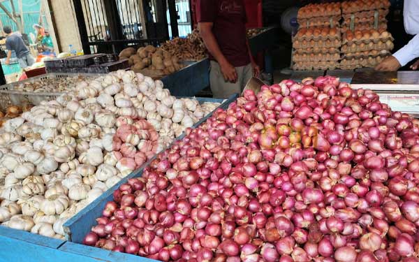 Bawang Merah Putih Korericom