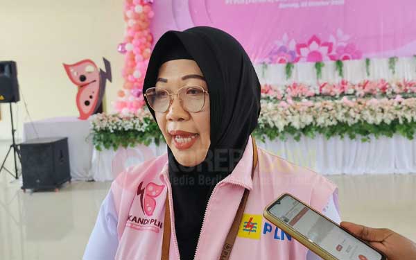 Program Srikandi Care PLN Sasar 203 Ibu Hamil dan Anak di Kota Sorong 9 Heni Widyanti Ketua Srikandi PLN UIW PPB