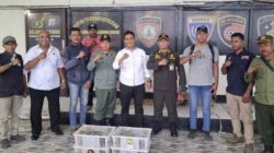 Ditpolairud Polda PBD Amankan 21 Ekor Nuri Hitam di KM Sinabung