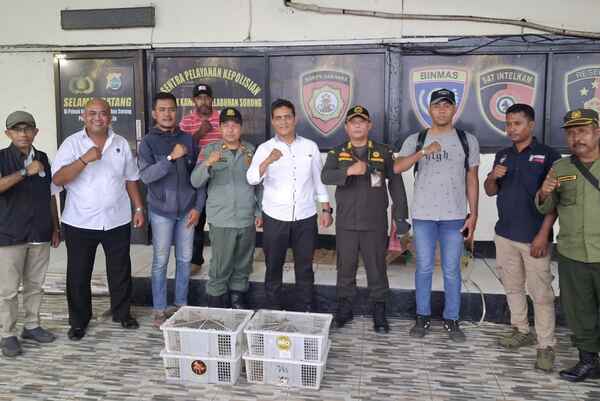 Ditpolairud Polda PBD Amankan 21 Ekor Nuri Hitam di KM Sinabung