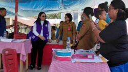 Di Posyandu Edelweis Tawiri, Lisa Wattimena Soroti Minimnya Perhatian Negeri