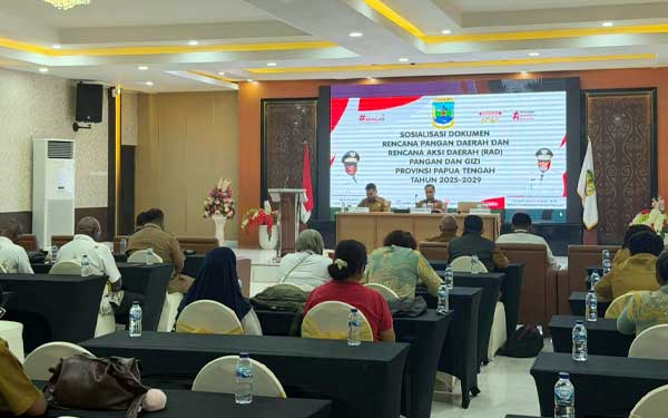 Pemprov PT Sosialisasi RAD PG 2025–2029