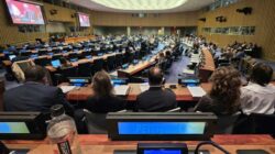 GREAT Institute: Integrasi Papua ke Indonesia Sah di Mata Hukum Internasional