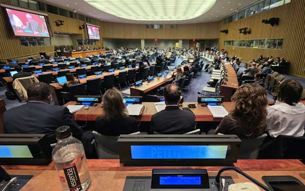 Teguh Santosa Sidang Komisi IV Markas PBB New York